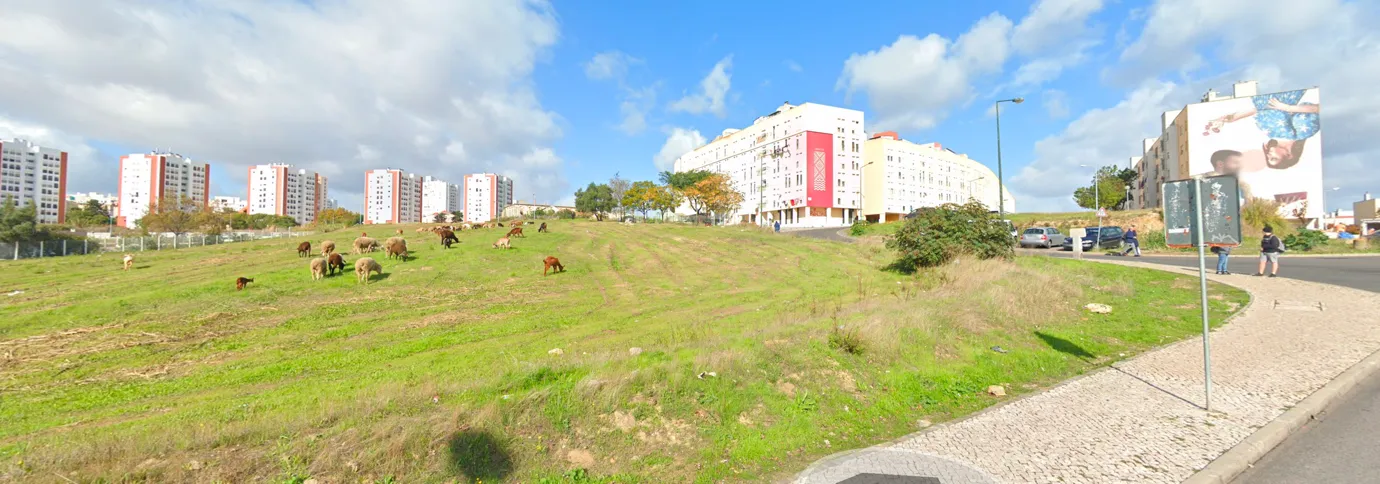 ROCK — Cultural-led Urban Regeneration